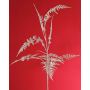 Branche décorative d'Asparagus plumosus GIONA, argent, 85cm