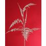Branche décorative d'Asparagus plumosus GIONA, argent, 85 cm
