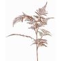 Branche décorative d'Asparagus plumosus GIONA, cuivre, 85cm