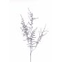 Branche artificielle d'Asparagus acutifolius PARNASO, argent, 100 cm