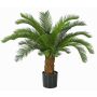 Cycas décoratif SLITAL, 80cm