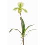 Orchidée Paphiopedilum artificielle VELANA, piquet, vert-blanc, 40cm
