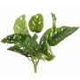 Philodendron Monstera adansonii artificiel ARKADIO, tige, 40cm