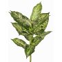 Dieffenbachia artificiel VISP, difficilement inflammable, tige, vert-blanc, 40cm