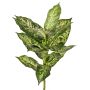 Dieffenbachia artificiel VISP, difficilement inflammable, tige, vert-blanc, 40 cm