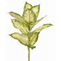 Dieffenbachia artificiel VISP, difficilement inflammable, tige, vert-crème, 40cm