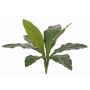 Plante artificielle Keulenlilie WORB, Crossdoor, tige, verte, 70cm