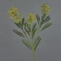 Branche de skimmia artificielle LAUSANA avec fleurs, verte, 65 cm, Ø 7 cm