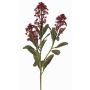Branche de skimmia artificielle LAUSANA avec fleurs, rouge bourgogne, 65cm, Ø7cm