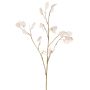 Branche de lunaria artificielle KONIA, crème, 95 cm