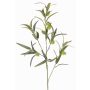 Branche d'euphorbe ballon TASMIN, fruits, verte, 95cm