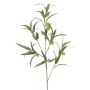 Branche d'euphorbe ballon TASMIN, fruits, verte, 95 cm