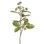 Branche de cornouiller artificielle PANGO avec bourgeons, vert-blanc, 70 cm, Ø 7 cm