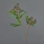 Branche de cornouiller artificielle PANGO avec bourgeons, violet foncé, 70 cm, Ø 7 cm