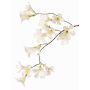 Branche de jasmin trompette artificielle AURINA, blanche, 90cm