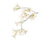 Branche de jasmin trompette artificielle AURINA, blanche, 90 cm