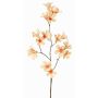 Branche de fleurs artificielles trompette de jasmin AURINA, couleur pêche, 90cm