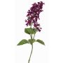 Branche décorative Lilas ADMIR, violet foncé, 80cm