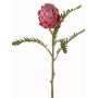 Protéa artificiel BREGANSA, rose antique, 65 cm, Ø 7 cm