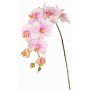 Branche décorative Orchidée Phalaenopsis WESA, rose-blanc, 90cm, Ø11-12,5cm
