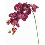 Branche décorative Orchidée Phalaenopsis WESA, violet foncé-blanc, 90cm, Ø11-12,5cm