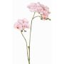 Branche artificielle Orchidée Phalaenopsis VILLANI, rose-blanc, 65cm