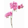 Branche artificielle Orchidée Phalaenopsis VILLANI, rose-fuchsia, 65cm