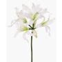 Fleur artificielle « Amaryllis de jardin » KUSTANA, blanc-vert, 70 cm, Ø 10-16 cm