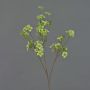 Branche de thé artificielle ZEWENGA avec fleurs, vert clair, 85 cm, Ø 2,5-3 cm