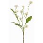 Centaurée des prés artificielle HOLLA, blanche, 55 cm, Ø 3-4 cm