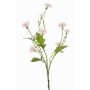 Fleur artificielle de centaurée des prés HOLLA, rose pâle, 55 cm, Ø 3-4 cm