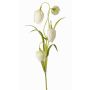 Fleur artificielle Fritillaria meleagris SANEM, blanc, 45cm, Ø3cm