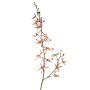 Branche artificielle Orchidée Cattleya TRASSA, violet-blanc-jaune, 80cm, Ø4-8cm