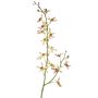 Branche artificielle Orchidée Cattleya TRASSA, vert clair-rouge, 80cm, Ø4-8cm