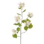 Branche de fleurs artificielles Bauhinia ENSANA, blanche, 120 cm
