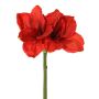 Amaryllis artificielle NARWELA, rouge, 70 cm, Ø 10-13 cm