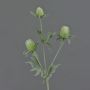 Eryngium artificiel SVEA, vert, 40cm, Ø2-3cm