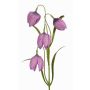 Fritillaria artificielle SANEM, lilas, 45cm, Ø3cm