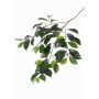 Branche de ficus artificielle BHAO, vert, 65cm