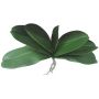 Feuilles d'orchidées Phalaenopsis artificielles PRIMALA, racines aériennes, 21 x 29 cm