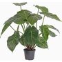 Syngonium artificiel PERAMI, vert, 45cm