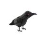 Halloween Corbeau DIOGO, noir-blanc, 28x11x17cm