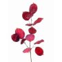 Tige de monnaie-du-pape artificielle JEPPE, rose fuchsia, 60cm