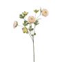 Branche artificielle Renoncule DAVELLA, rose-crème, 80cm