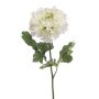 artificielle Renoncule ULISAN, crème-vert, 60cm, Ø14cm