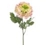 artificielle Renoncule ULISAN, rose-vert, 60cm, Ø14cm