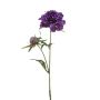 branche artificiel Scabieuse BASOLO, violet foncé, 55cm