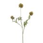 Branche déco Étoile Scabieuse RANIK, vert, 70cm