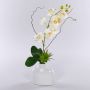 Orchidée Phalaenopsis artificielle TIALDA, succulentes, vase en céramique, blanc, 50cm