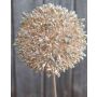 Allium artificiel HELLA, scintillant, champagne, 75cm, Ø11cm